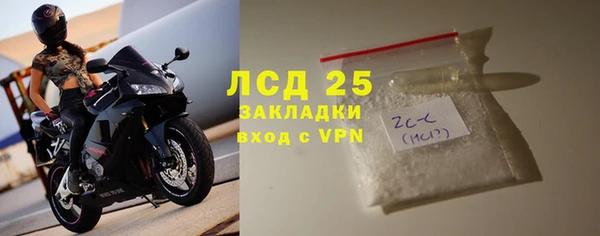 твердый Аркадак