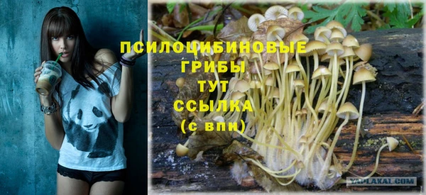 трава Арсеньев