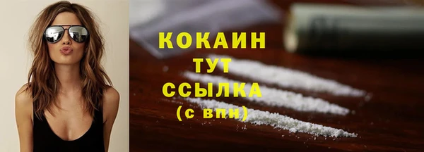 трава Арсеньев