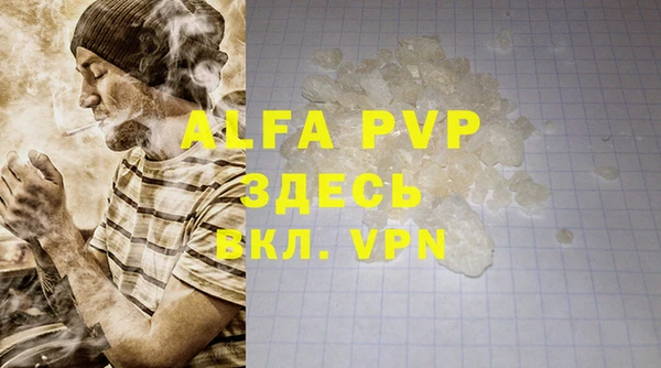 твердый Аркадак
