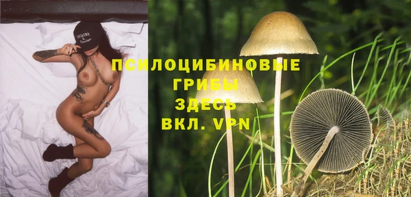 твердый Аркадак