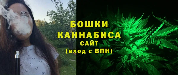 трава Арсеньев